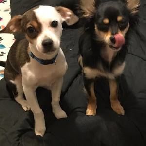 Meet your Posher, Valerie